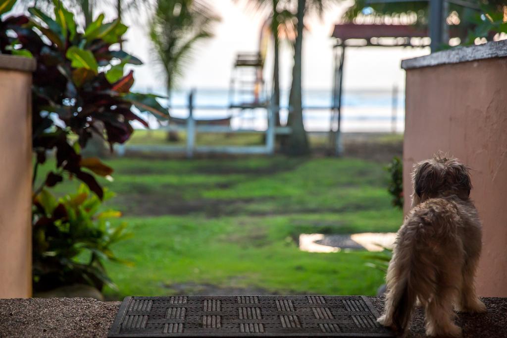 Encantada Ocean Cottages Esterillos Este Ngoại thất bức ảnh